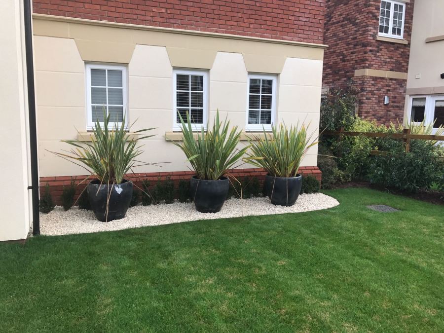Landscaped Front Garden