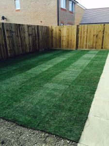 Premium Lawn Turf