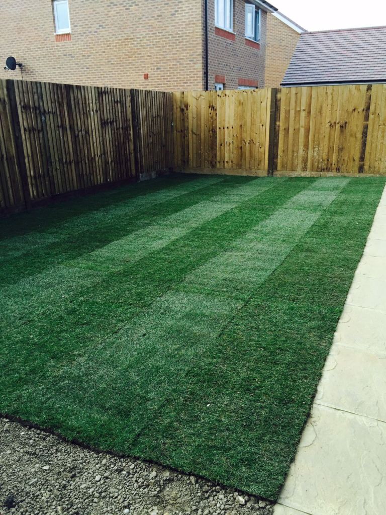 Premium Lawn Turf